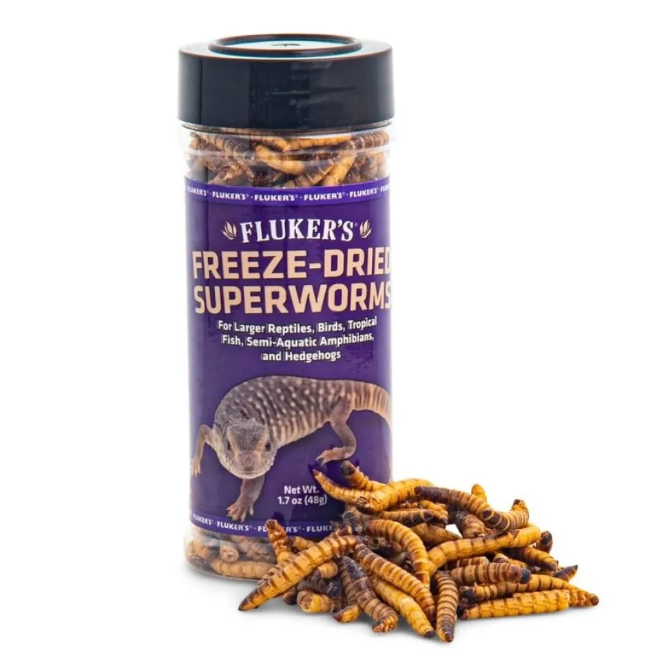 Fluker's Freeze-Dried Superworms Reptile Food 1.7-oz