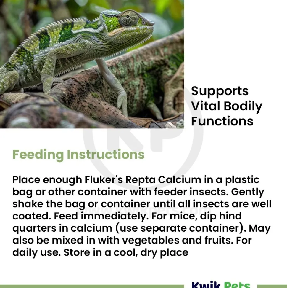 Fluker's Repta Calcium Vitamin D3 Strawberry-Banana Flavored Supplement for Reptiles 4-oz