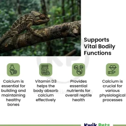 Fluker's Repta Calcium Vitamin D3 Strawberry-Banana Flavored Supplement for Reptiles 4-oz