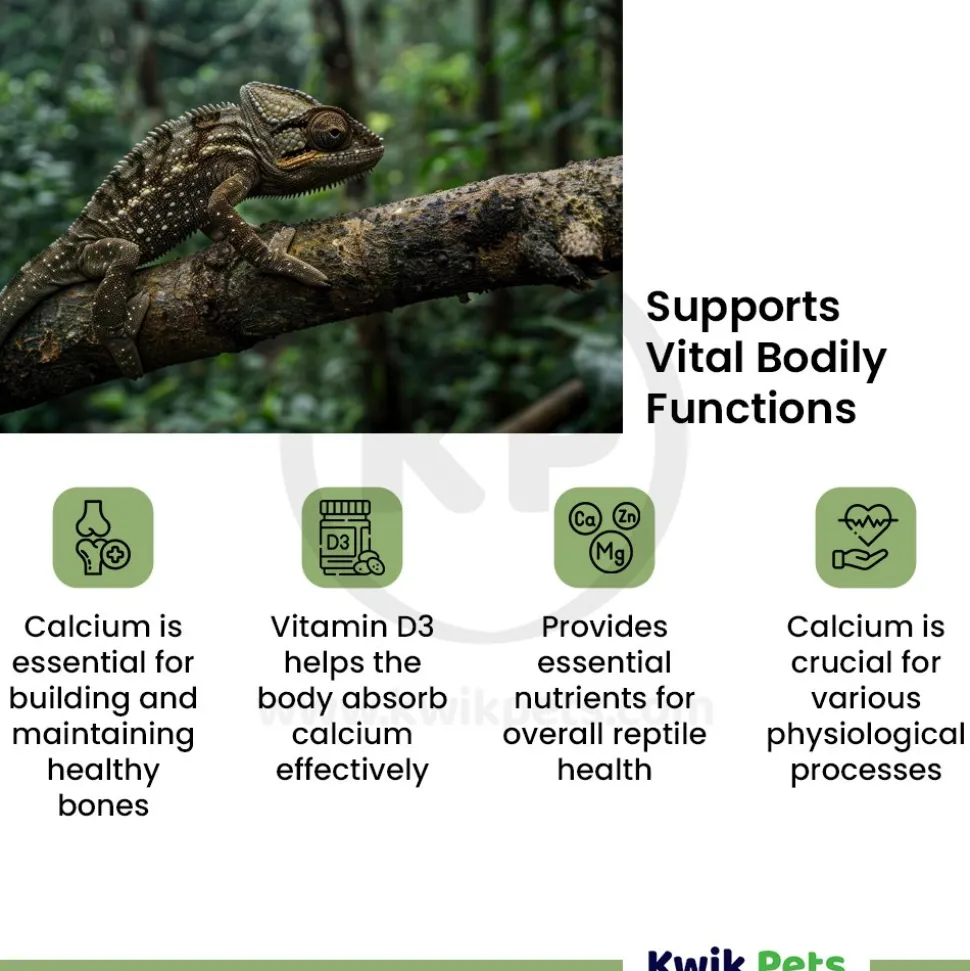 Fluker's Repta Calcium Vitamin D3 Strawberry-Banana Flavored Supplement for Reptiles 4-oz