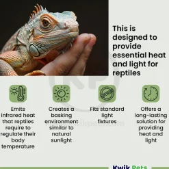 Fluker's Repta-Sun Incandescent Basking Bulb for Reptiles 75W