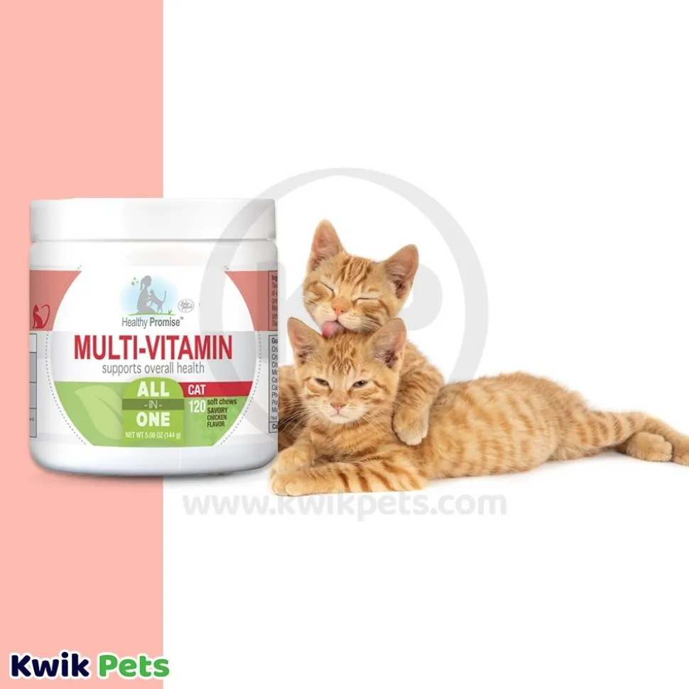 Four Paws Healthy Promise Cat Multi-Vitamins Soft Chews Savory Chicken 120 Count 5.08-oz