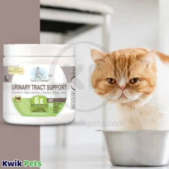 Four Paws Healthy Promise Cat Urinary Tract Supplement Soft Chews Savory Chicken & Cheese 110 Count 4.27-oz