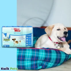 Four Paws Wee Wee Disposable Male Dog Wraps X-Small/Small 12pk