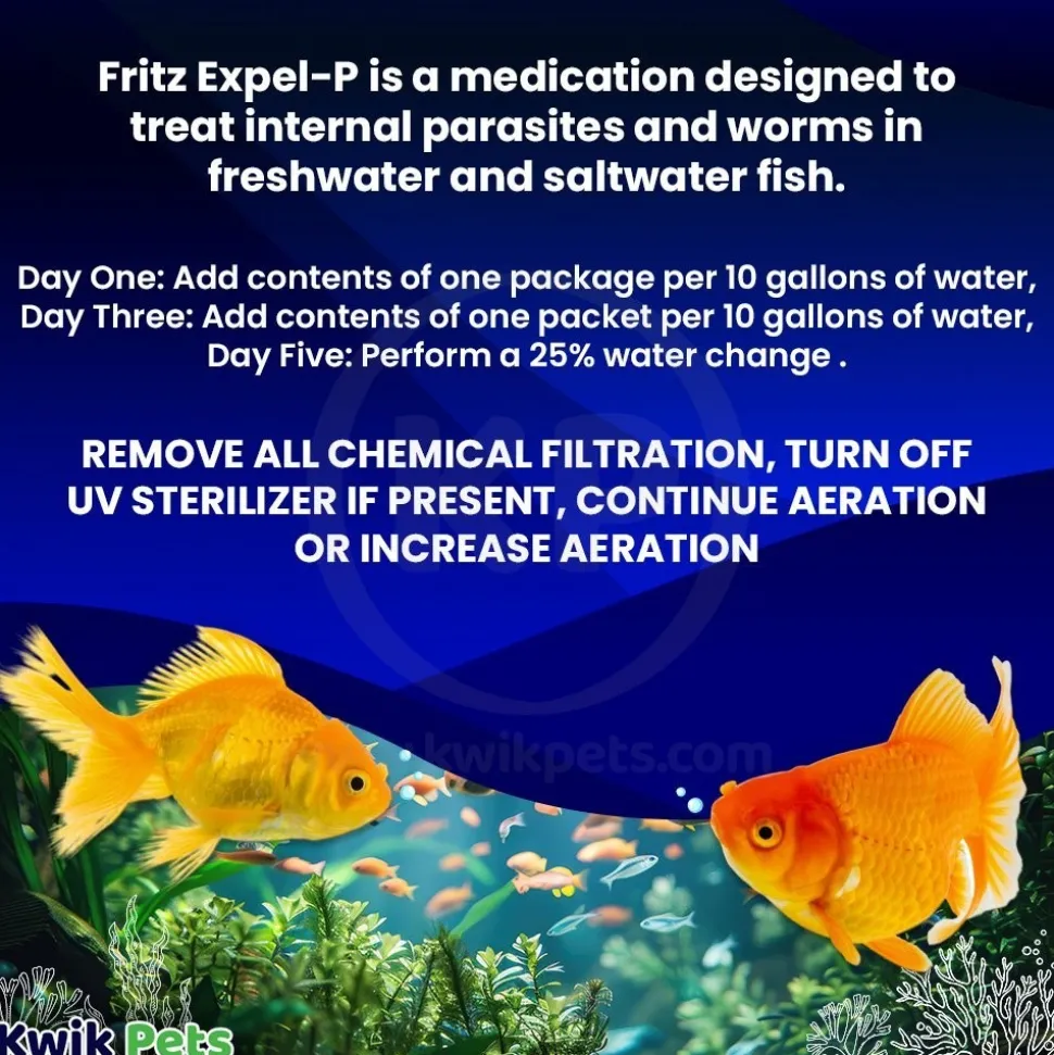 Fritz Expel-P Parasitic Treatment for Freshwater & Saltwater Aquarium Fish 20 Count