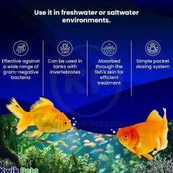 Fritz Maracyn Two Bacterial Infection Treatment for Freshwater & Saltwater Aquarium Fish 10 Count