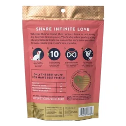 Givepet Campfire Feast Grain-Free Premium Dog Treats Salmon Sweet Potato & Blueberry 11-oz
