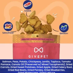 Givepet Campfire Feast Grain-Free Premium Dog Treats Salmon Sweet Potato & Blueberry 9.5-lb Bulk