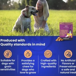 Givepet Dog House Rock Grain-Free Premium Dog Treats Bacon Peanut Butter & Banana 11-oz