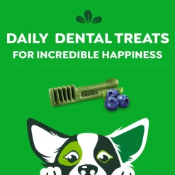 Greenies Blueberry Dog Dental Treats Petite 12-oz 20 Count