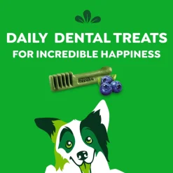 Greenies Blueberry Dog Dental Treats Regular 12-oz 12 Count