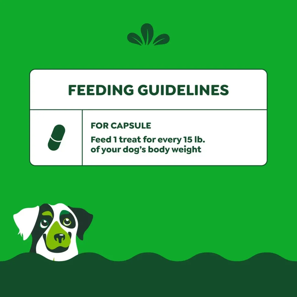 Greenies Capsule Pill Pockets Dog Treats Chicken 7.9-oz 30 Count