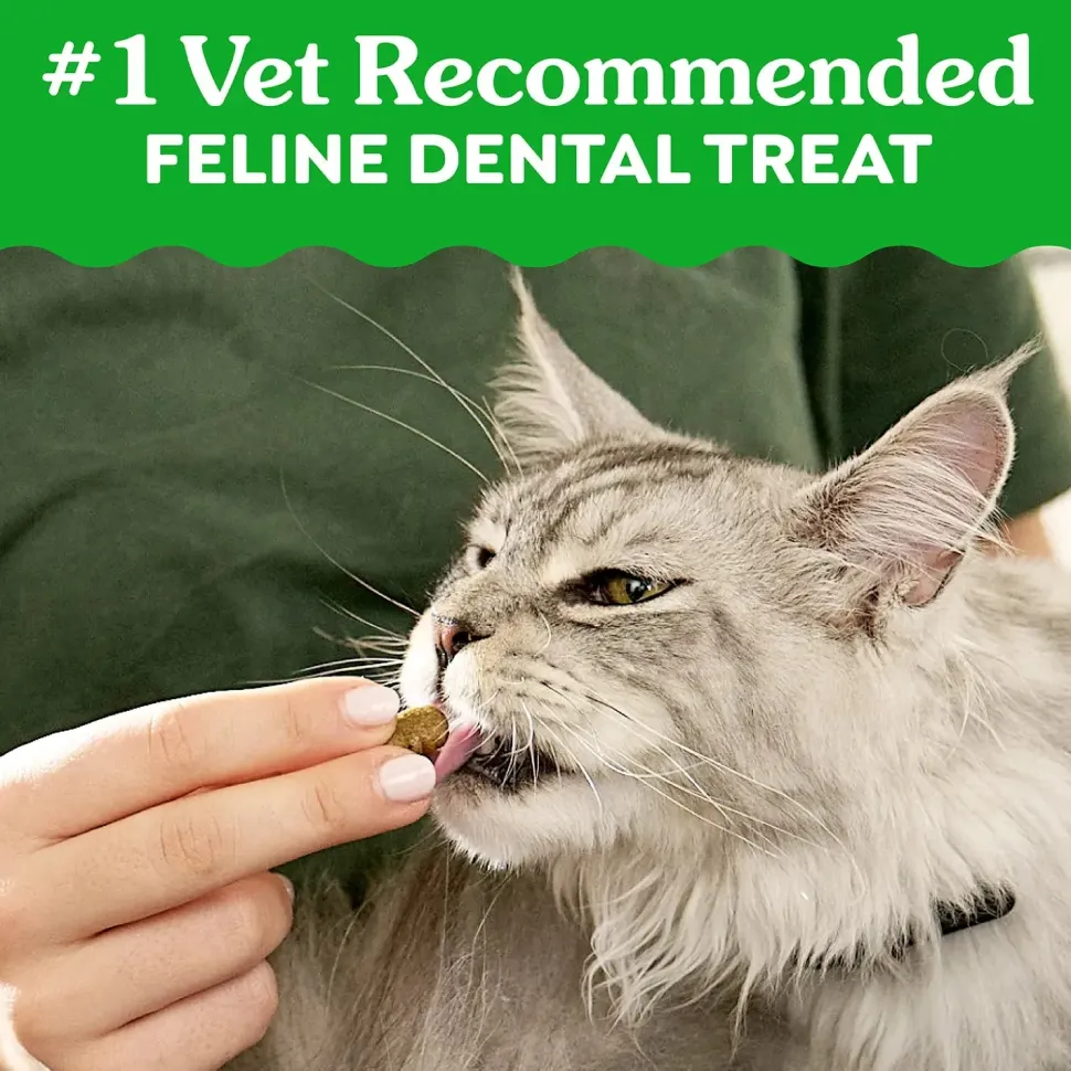 Greenies Feline Oven Roasted Chicken Adult Cat Dental Treats 21-oz
