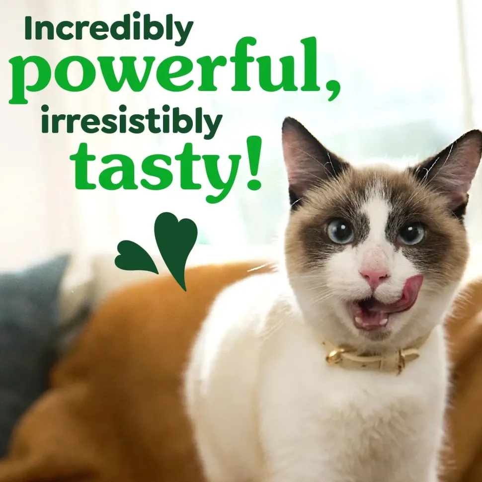 Greenies Feline Oven Roasted Chicken Adult Cat Dental Treats 4.6-oz
