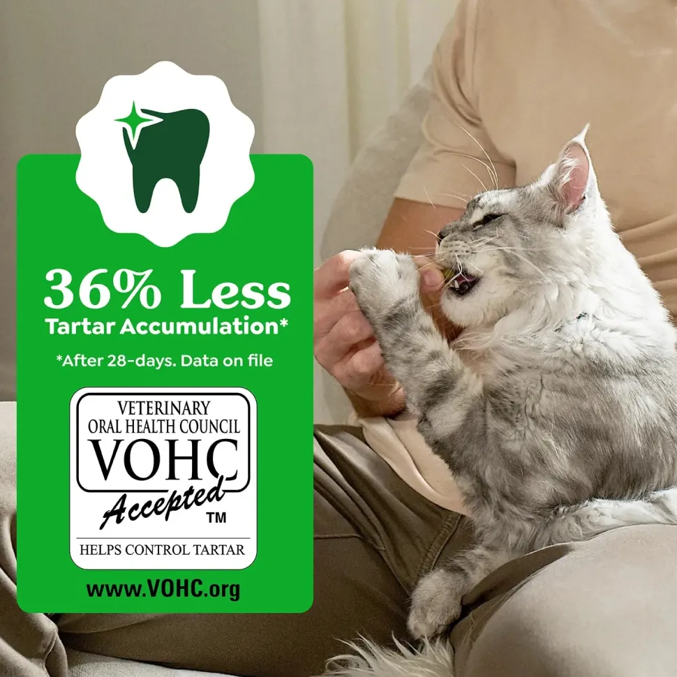 Greenies Feline Oven Roasted Chicken Adult Cat Dental Treats 2.1-oz