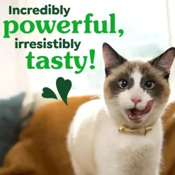 Greenies Feline Oven Roasted Chicken Adult Cat Dental Treats 9.75-oz
