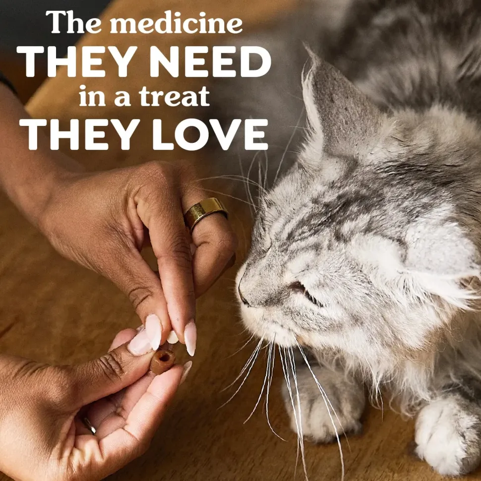 Greenies Feline Pill Pockets Cat Treats Salmon 3-oz 85 Count