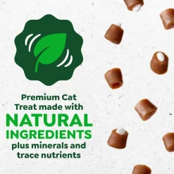 Greenies Feline Pill Pockets Cat Treats Salmon 3-oz 85 Count
