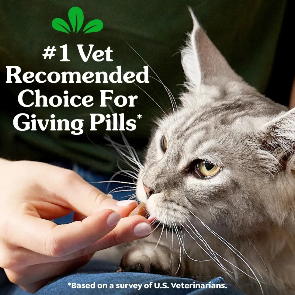 Greenies Feline Pill Pockets Cat Treats Salmon 3-oz 85 Count