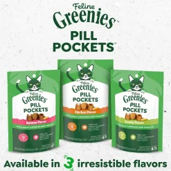 Greenies Feline Pill Pockets Cat Treats Salmon 1.6-oz 45 Count