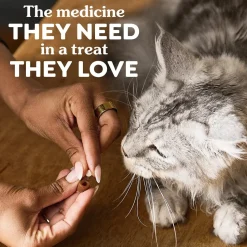 Greenies Feline Pill Pockets Cat Treats Catnip 1.6-oz 45 Count