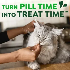 Greenies Feline Pill Pockets Cat Treats Catnip 1.6-oz 45 Count