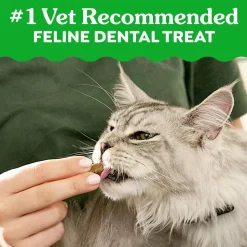 Greenies Feline Savory Salmon Adult Cat Dental Treats 21-oz