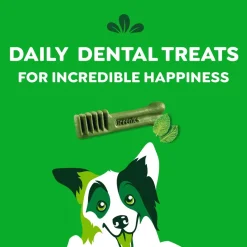 Greenies Fresh Dog Dental Treats Regular 12-oz 12 Count