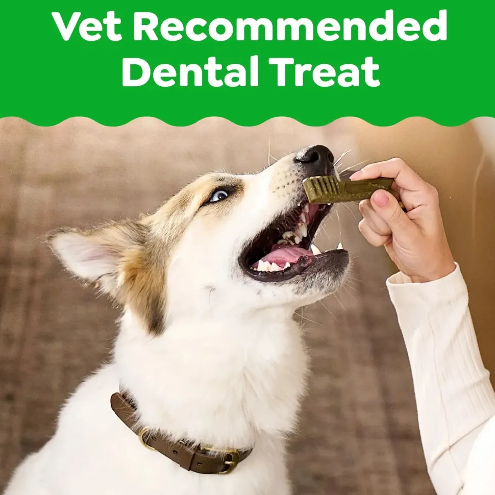 Greenies Original Dog Dental Treats Large 36-oz 24 Count
