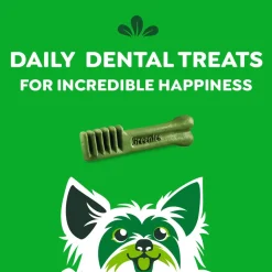 Greenies Original Dog Dental Treats Teenie 6-oz 22 Count