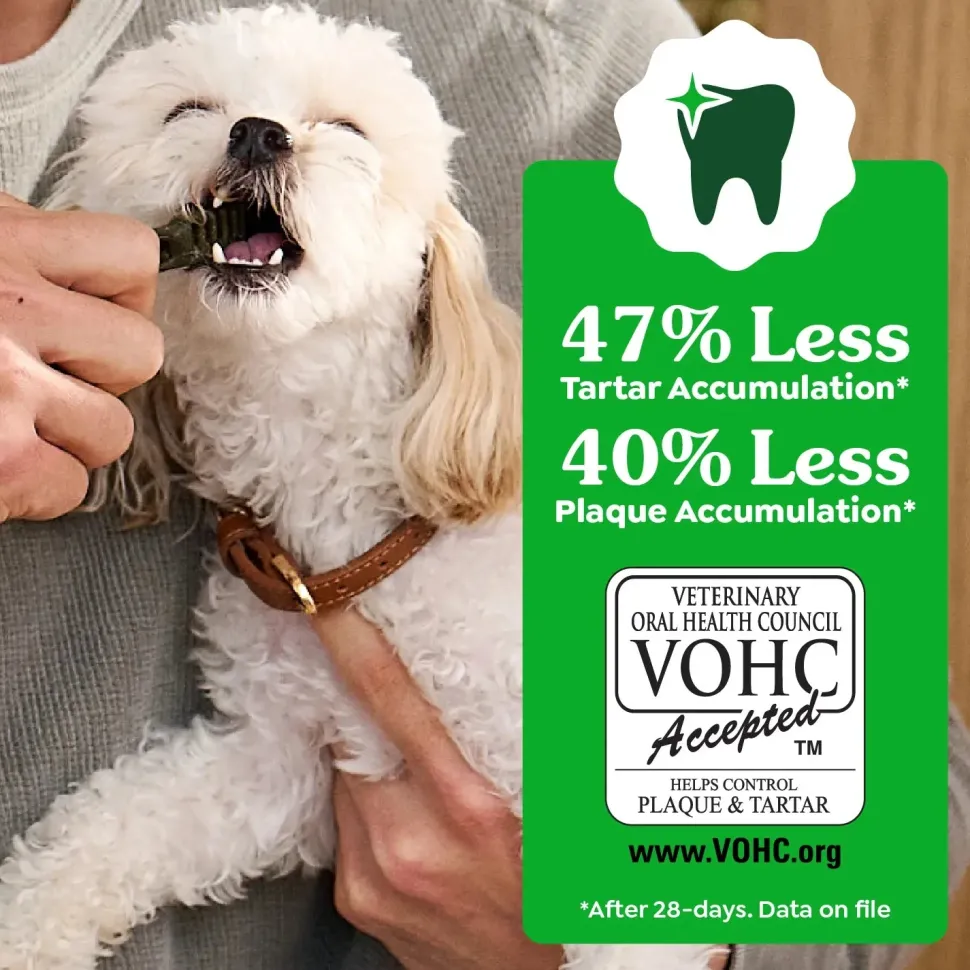 Greenies Original Dog Dental Treats Regular 6-oz 6 Count