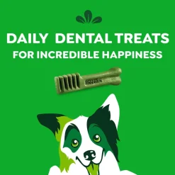 Greenies Original Dog Dental Treats Regular 3-oz 3 Count