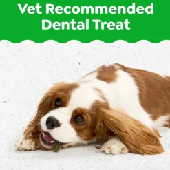 Greenies Puppy Dental Dog Treats Petite 10 Count 6-oz