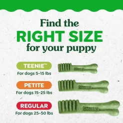 Greenies Puppy Dental Dog Treats Petite 10 Count 6-oz