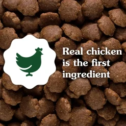 Greenies Smart Essentials Small Breed Adult Dry Dog Food Real Chicken & Rice Recipe 5.5-lb