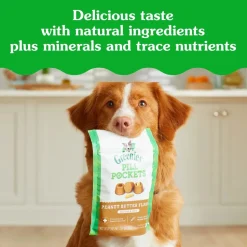 Greenies Tablet Pill Pockets Dog Treats Peanut Butter 3.2-oz 30 Count