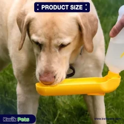Gulpy Pet Water Dispenser 10-oz