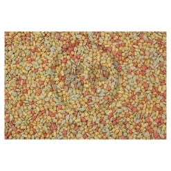Higgins inTune Harmony Conure & Cockatiel Bird Food 2-lb