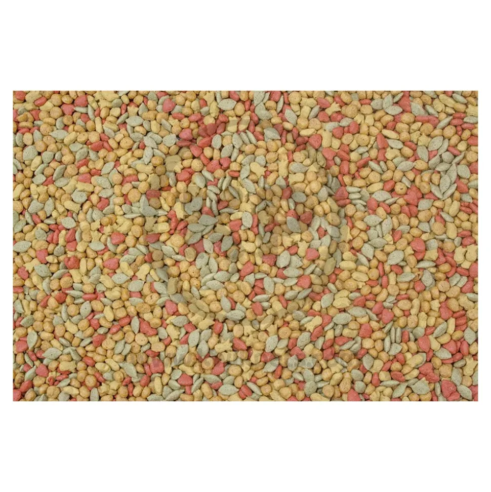 Higgins inTune Harmony Conure & Cockatiel Bird Food 2-lb