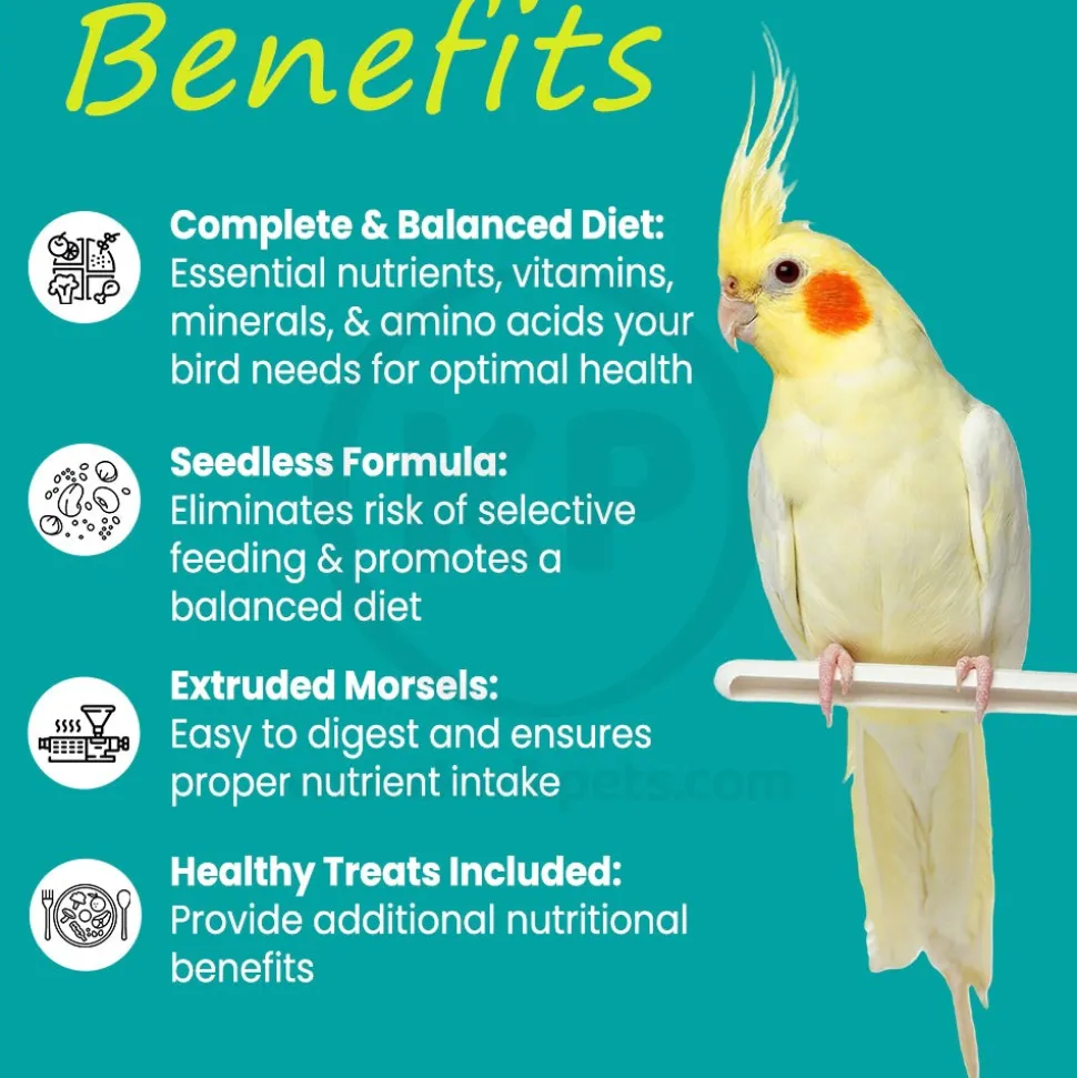 Higgins inTune Harmony Conure & Cockatiel Bird Food 2-lb