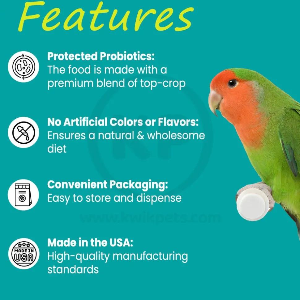 Higgins inTune Harmony Conure & Cockatiel Bird Food 2-lb