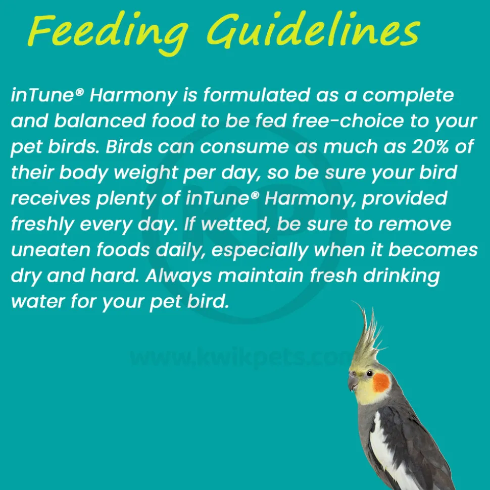 Higgins inTune Harmony Conure & Cockatiel Bird Food 2-lb