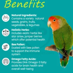 Higgins Mayan Harvest YuCatan Blend Conure Cockatiel Lovebird & Parrotlet Bird Food 3-lb