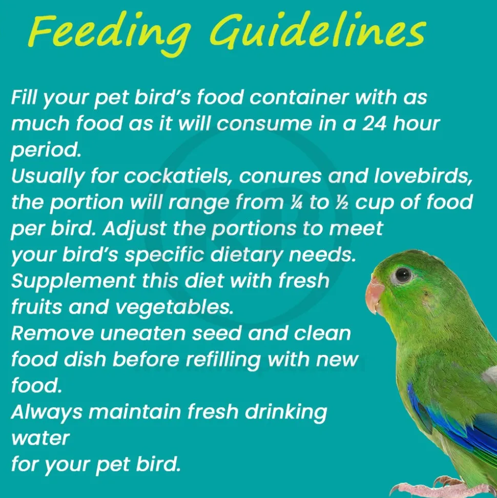Higgins Mayan Harvest YuCatan Blend Conure Cockatiel Lovebird & Parrotlet Bird Food 3-lb