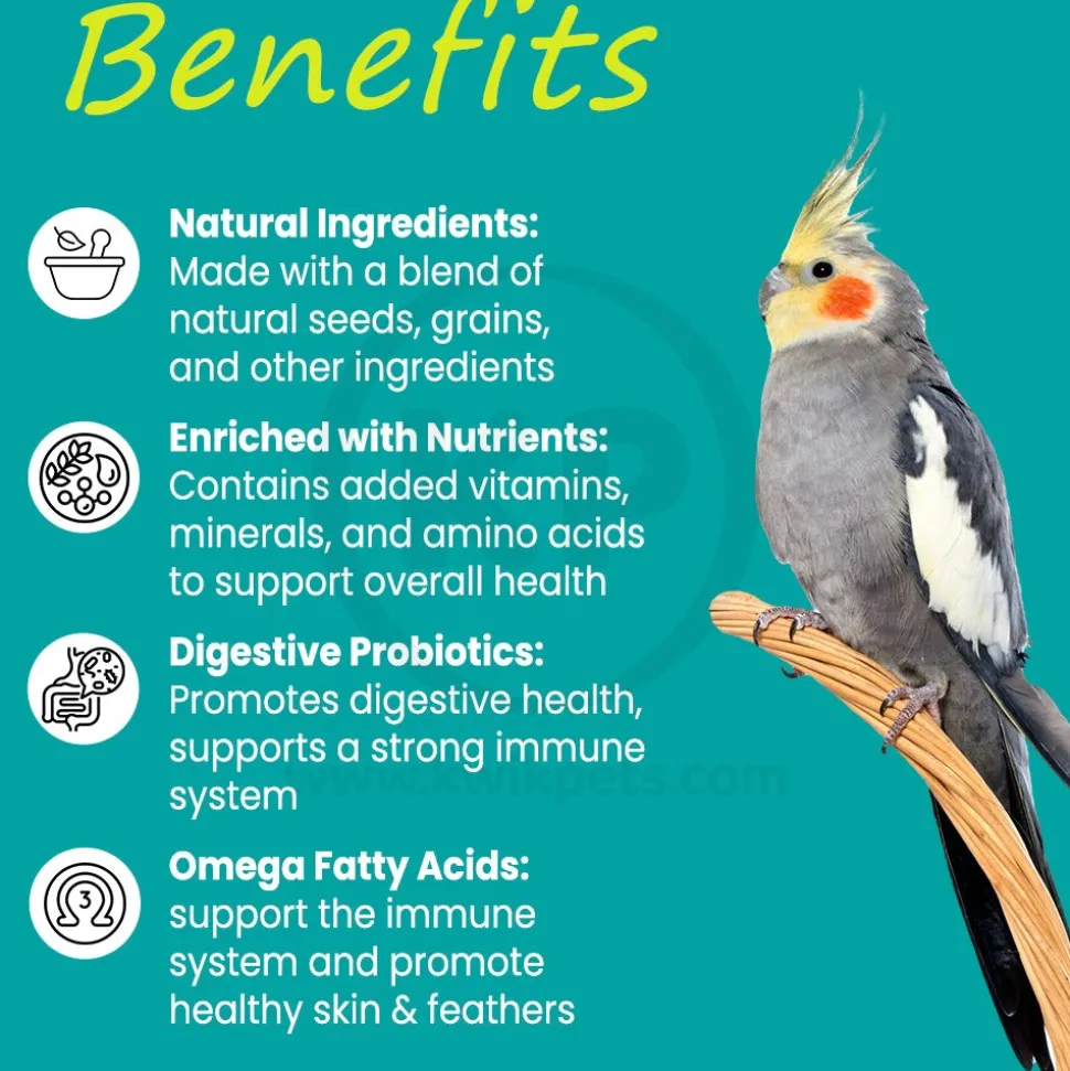 Higgins Safflower Gold Natural Blend Conure & Cockatiel Bird Food 3-lb