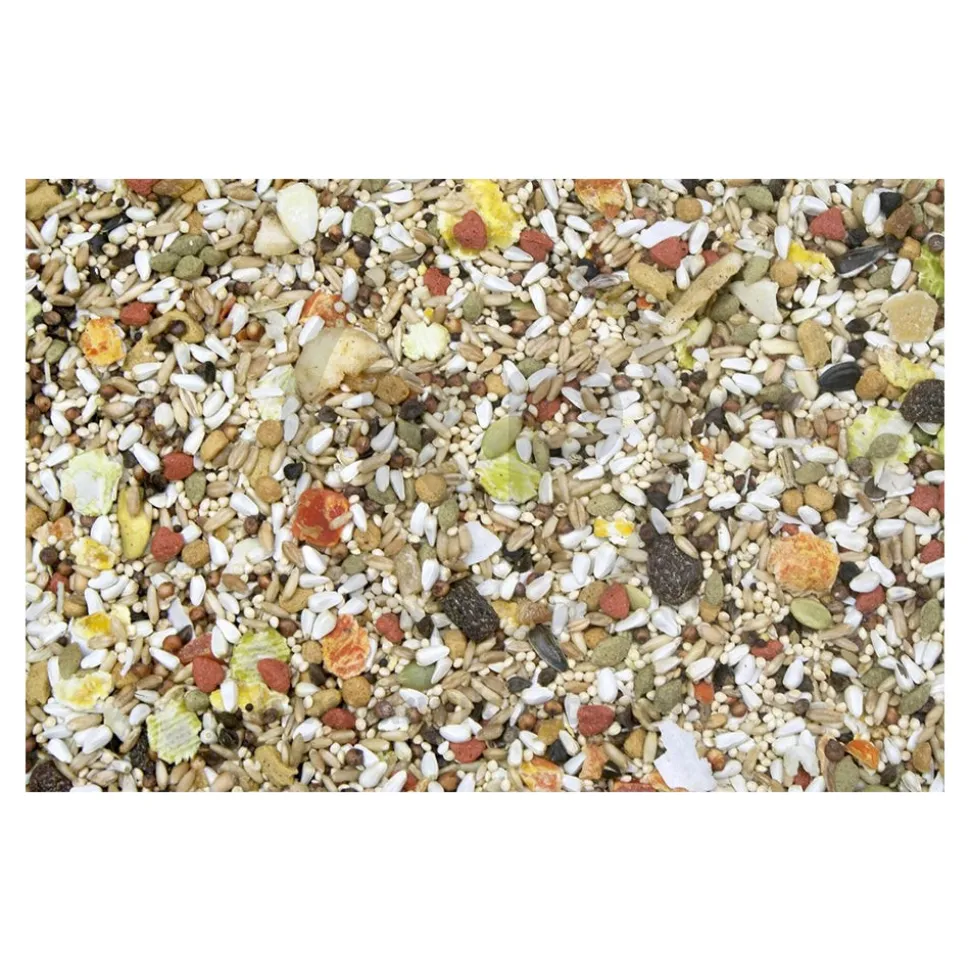 Higgins Safflower Gold Natural Blend Conure & Cockatiel Bird Food 3-lb