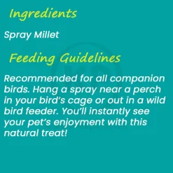 Higgins Spray Millet Natural Bird Treats 12 Count