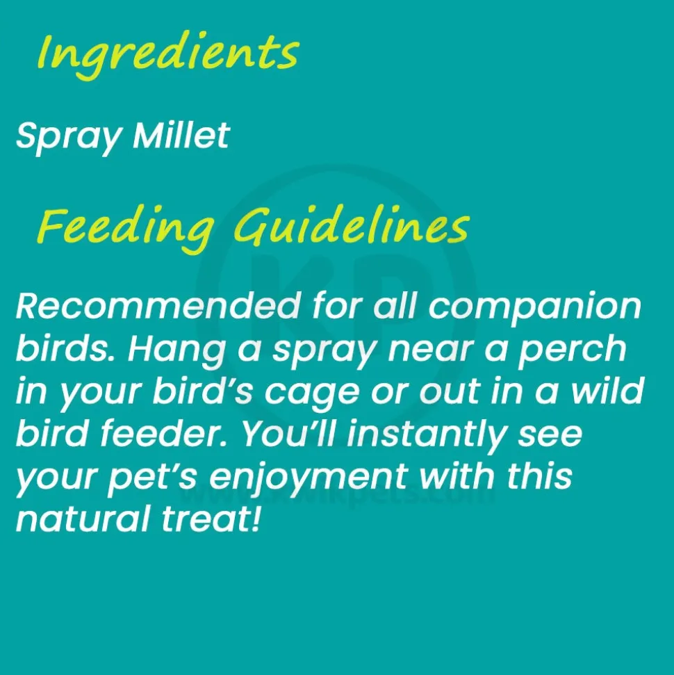 Higgins Spray Millet Natural Bird Treats 12 Count