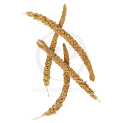 Higgins Spray Millet Natural Bird Treats 12 Count