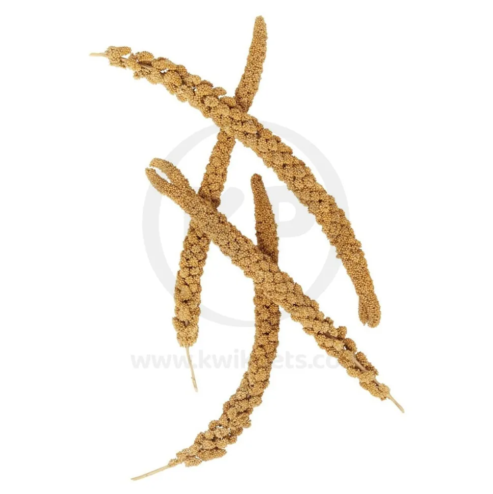 Higgins Spray Millet Natural Bird Treats 12 Count